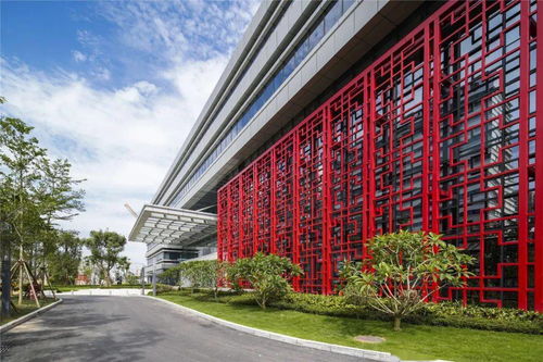 祝賀 最高榮譽(yù)花落廈門這家醫(yī)院