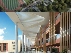 廈門后江小學規劃建筑設計模型詳解